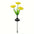 Solar Flower Garden Lights