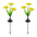 Solar Flower Garden Lights